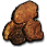 Reishi Mushroom