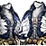 Wave Samubok(Fujin)