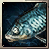 Cyan Koi