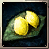 Moon Cake