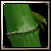 Bamboo Flesh